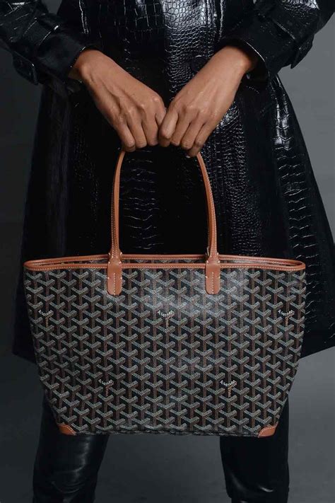 Goyard Artois MM w/ Cuyana bag organizer/insert. It’s a winner!